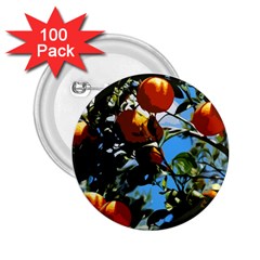 Orange Tree 2 25  Buttons (100 Pack)  by Valentinaart