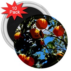 Orange Tree 3  Magnets (10 Pack)  by Valentinaart