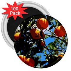 Orange Tree 3  Magnets (100 Pack) by Valentinaart