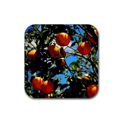 Orange Tree Rubber Coaster (square)  by Valentinaart