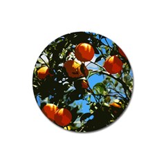 Orange Tree Magnet 3  (round) by Valentinaart