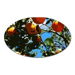 Orange Tree Oval Magnet by Valentinaart