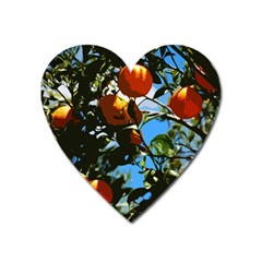 Orange Tree Heart Magnet by Valentinaart