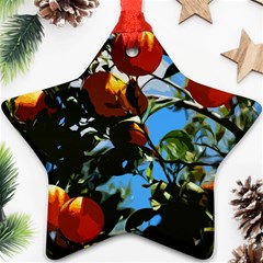 Orange Tree Star Ornament (two Sides) by Valentinaart