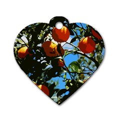 Orange Tree Dog Tag Heart (two Sides) by Valentinaart