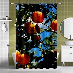 Orange Tree Shower Curtain 48  X 72  (small)  by Valentinaart