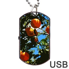 Orange Tree Dog Tag Usb Flash (one Side) by Valentinaart