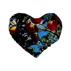 Orange Tree Standard 16  Premium Heart Shape Cushions by Valentinaart