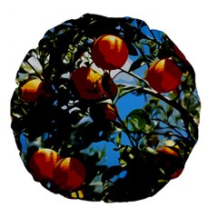 Orange Tree Large 18  Premium Flano Round Cushions by Valentinaart