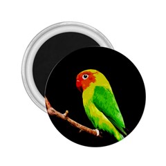 Parrot  2 25  Magnets by Valentinaart