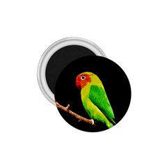 Parrot  1 75  Magnets by Valentinaart