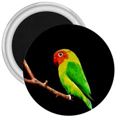 Parrot  3  Magnets by Valentinaart