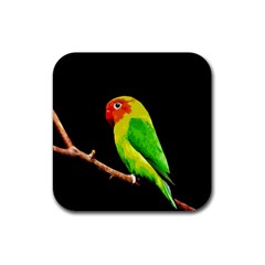 Parrot  Rubber Coaster (square)  by Valentinaart