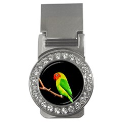 Parrot  Money Clips (cz)  by Valentinaart