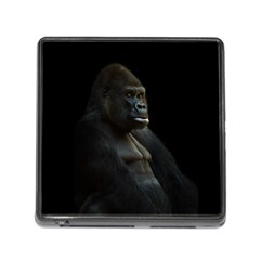 Gorilla  Memory Card Reader (square)