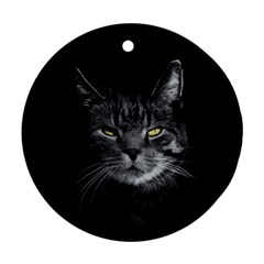 Domestic Cat Ornament (round) by Valentinaart