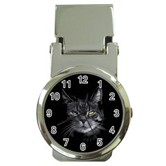 Domestic Cat Money Clip Watches by Valentinaart