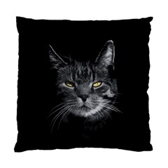 Domestic Cat Standard Cushion Case (two Sides) by Valentinaart