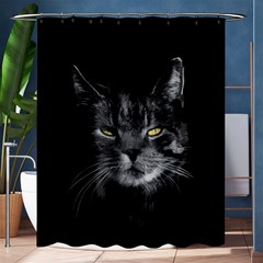 Domestic Cat Shower Curtain 60  X 72  (medium)  by Valentinaart