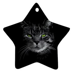 Domestic Cat Ornament (star) by Valentinaart