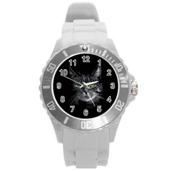 Domestic Cat Round Plastic Sport Watch (l) by Valentinaart