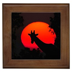 Giraffe  Framed Tiles by Valentinaart