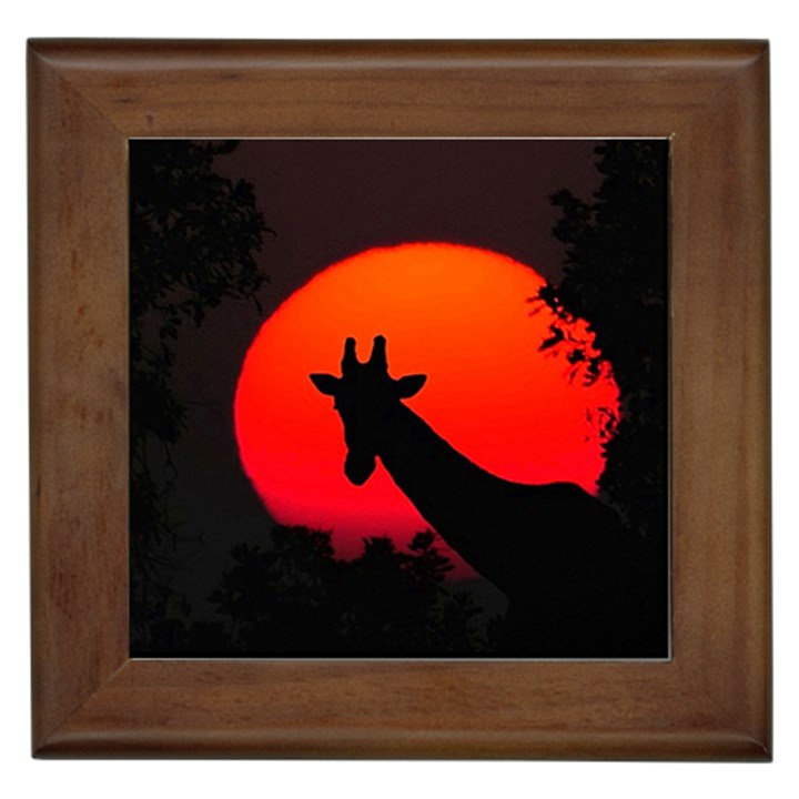 Giraffe  Framed Tiles