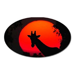 Giraffe  Oval Magnet by Valentinaart