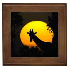 Giraffe  Framed Tiles by Valentinaart