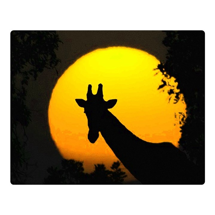 Giraffe  Double Sided Flano Blanket (Large) 