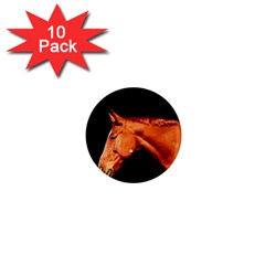 Horse 1  Mini Buttons (10 Pack)  by Valentinaart