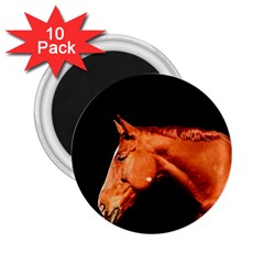 Horse 2 25  Magnets (10 Pack)  by Valentinaart