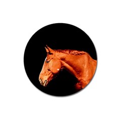 Horse Magnet 3  (round) by Valentinaart