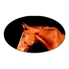 Horse Oval Magnet by Valentinaart