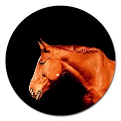 Horse Magnet 5  (round) by Valentinaart