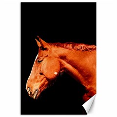 Horse Canvas 24  X 36  by Valentinaart