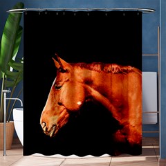 Horse Shower Curtain 60  X 72  (medium) 