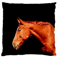 Horse Large Cushion Case (two Sides) by Valentinaart