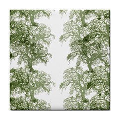 Trees Tile Horizonal Tile Coasters by Nexatart