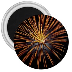 Pyrotechnics Thirty Eight 3  Magnets by Nexatart