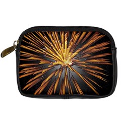 Pyrotechnics Thirty Eight Digital Camera Cases by Nexatart