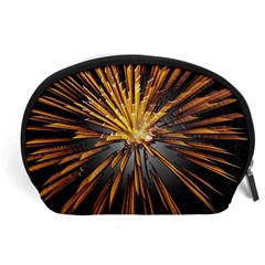 Pyrotechnics Thirty Eight Accessory Pouches (large)  by Nexatart