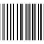 Barcode Deluxe Canvas 14  x 11  14  x 11  x 1.5  Stretched Canvas