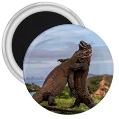 Komodo Dragons Fight 3  Magnets by Nexatart