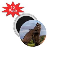 Komodo Dragons Fight 1 75  Magnets (10 Pack)  by Nexatart