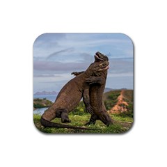 Komodo Dragons Fight Rubber Coaster (square)  by Nexatart