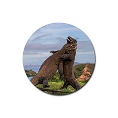 Komodo Dragons Fight Rubber Coaster (round)  by Nexatart