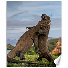 Komodo Dragons Fight Canvas 8  X 10  by Nexatart