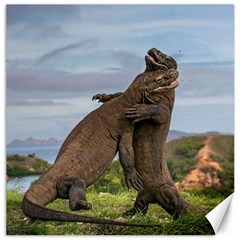 Komodo Dragons Fight Canvas 16  X 16   by Nexatart