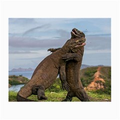 Komodo Dragons Fight Small Glasses Cloth (2-side) by Nexatart